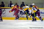 Photo hockey match Dijon  - Strasbourg  le 14/03/2017