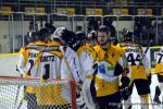 Photo hockey match Dijon  - Strasbourg  le 14/03/2017