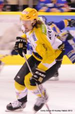 Photo hockey match Dijon  - Strasbourg  le 24/01/2012