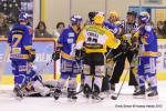 Photo hockey match Dijon  - Strasbourg  le 24/01/2012