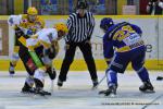 Photo hockey match Dijon  - Strasbourg  le 24/11/2012
