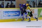 Photo hockey match Dijon  - Strasbourg  le 24/11/2012