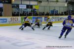 Photo hockey match Dijon  - Strasbourg  le 24/11/2012