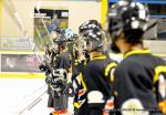 Photo hockey match Dijon II - Besanon le 11/01/2014