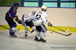 Photo hockey match Dijon II - Colmar le 17/09/2016
