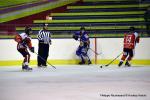 Photo hockey match Dijon II - Valenciennes le 11/02/2017