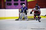 Photo hockey match Dijon II - Valenciennes le 11/02/2017