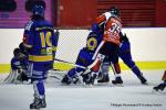 Photo hockey match Dijon II - Valenciennes le 11/02/2017
