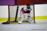 Photo hockey match Dijon II - Valenciennes le 11/02/2017