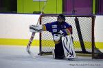 Photo hockey match Dijon II - Valenciennes le 11/02/2017