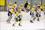 Photo hockey match Epinal  - Strasbourg  le 05/03/2011
