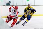 Photo hockey match Evry / Viry - Amnville le 23/01/2016
