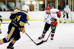 Photo hockey match Evry / Viry - Cergy-Pontoise le 12/09/2015