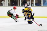 Photo hockey match Evry / Viry - Cergy-Pontoise le 12/09/2015