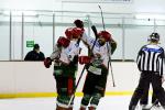 Photo hockey match Evry / Viry - Cergy-Pontoise le 27/02/2016
