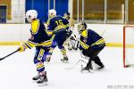 Photo hockey match Evry / Viry - Dammarie-les-Lys le 13/10/2015