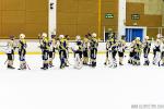 Photo hockey match Evry / Viry - Dammarie-les-Lys le 13/10/2015