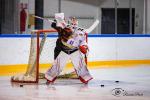 Photo hockey match Evry / Viry - Meudon le 08/01/2022