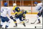 Photo hockey match Evry / Viry - Paris (FV) le 03/12/2016