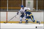 Photo hockey match Evry / Viry - Paris (FV) le 26/01/2019