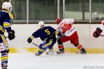 Photo hockey match Evry / Viry - Valence le 11/02/2017