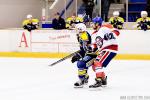 Photo hockey match Evry / Viry - Wasquehal Lille le 12/11/2016