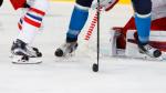 Photo hockey match Finland - Czech Republic le 08/05/2017