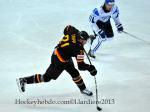 Photo hockey match Finland - Germany le 03/05/2013