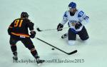Photo hockey match Finland - Germany le 03/05/2013