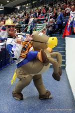 Photo hockey match Finland - Slovakia le 09/05/2015