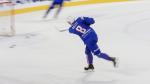 Photo hockey match France - Czech Republic le 13/04/2018