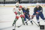 Photo hockey match France / Féminin - Cergy-Pontoise / Féminin le 19/11/2022