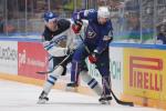 Photo hockey match France - Finland le 14/05/2016
