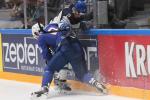 Photo hockey match France - Finland le 14/05/2016
