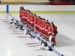 Photo hockey match France - Poland le 08/11/2013