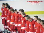 Photo hockey match France - Poland le 08/11/2013