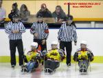 Photo hockey match France - Poland le 08/11/2013