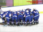 Photo hockey match France - Poland le 08/11/2013