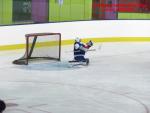 Photo hockey match France - Poland le 08/11/2013