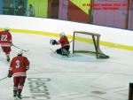 Photo hockey match France - Poland le 08/11/2013