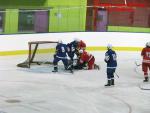 Photo hockey match France - Poland le 08/11/2013