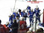 Photo hockey match France - Poland le 08/11/2013