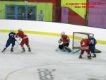 Photo hockey match France - Poland le 08/11/2013