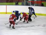 Photo hockey match France - Poland le 08/11/2013