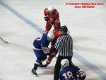Photo hockey match France - Poland le 08/11/2013