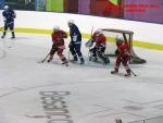 Photo hockey match France - Poland le 08/11/2013