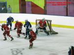Photo hockey match France - Poland le 08/11/2013