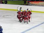 Photo hockey match France - Poland le 08/11/2013