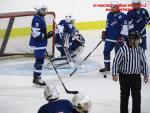 Photo hockey match France - Poland le 08/11/2013