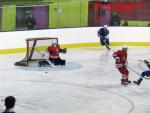 Photo hockey match France - Poland le 08/11/2013